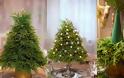Χριστουγεννιάτικα Δέντρα Μινιατούρες από φυσικά κλαδάκια
