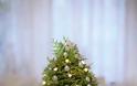 Χριστουγεννιάτικα Δέντρα Μινιατούρες από φυσικά κλαδάκια - Φωτογραφία 12