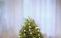 Χριστουγεννιάτικα Δέντρα Μινιατούρες από φυσικά κλαδάκια - Φωτογραφία 8