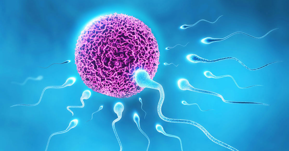 Η ποιότητα του σπέρματος χειροτερεύει μετά την νόσηση από κορονοϊό; Βελγική έρευνα - Φωτογραφία 1