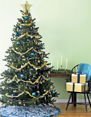 Γνωρίζετε πως το Χριστουγεννιάτικό σας δέντρο έχει 7 φορές(!) περισσότερο DNA από εσάς; - Φωτογραφία 1