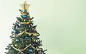 Γνωρίζετε πως το Χριστουγεννιάτικό σας δέντρο έχει 7 φορές(!) περισσότερο DNA από εσάς;