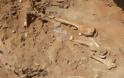 Λέσβος: Ανακαλύφθηκαν απολιθώματα ζώων ηλικίας 2.000.000 ετών