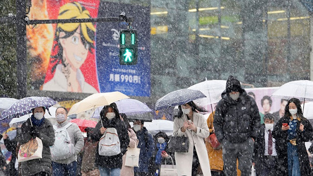 Πρωτοφανής χιονόπτωση στο Τόκιο - Ακυρώνονται πτήσεις - Φωτογραφία 1