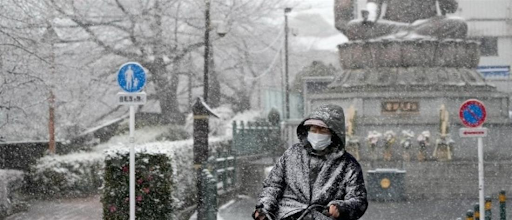 Τόκιο: Πρωτοφανείς χιονοπτώσεις “παρέλυσαν” την πρωτεύουσα της Ιαπωνίας-Ματαιώθηκαν πτήσεις-Καθυστερήσεις  σε ορισμένα δρομολόγια του προαστιακού. - Φωτογραφία 1