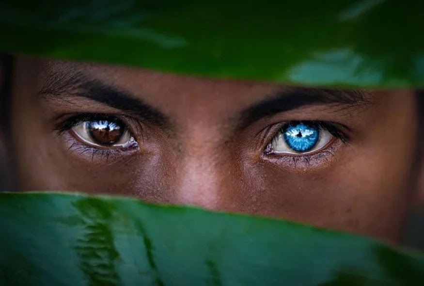 Γενετική πάθηση δίνει σε ιθαγενείς της Ινδονησίας τα πιο διαπεραστικά μπλε μάτια του κόσμου - Φωτογραφία 1