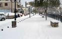 Φλώρινα: Πολλαπλά μέτωπα με ισχυρούς μετασεισμούς, 30 πόντους χιόνι και πολλά κρούσματα