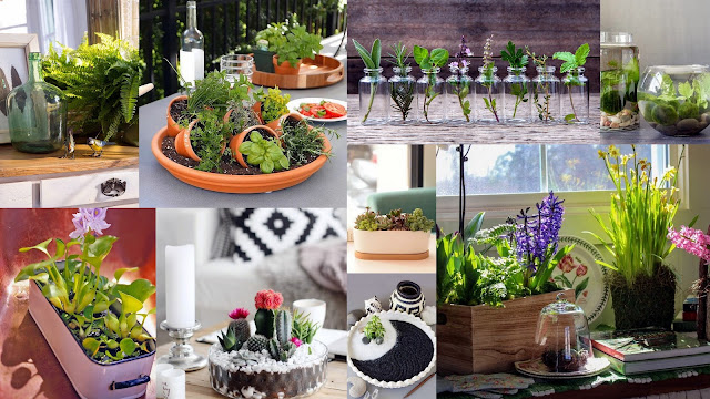 Εύκολοι τρόποι για να δημιουργήσετε έναν mini επιτραπέζιο ... Κήπο - Φωτογραφία 1
