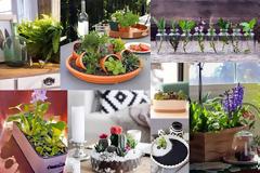 Εύκολοι τρόποι για να δημιουργήσετε έναν mini επιτραπέζιο ... Κήπο