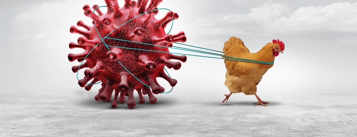 Η ΕΕ θα εξασφαλίσει 40 εκατομμύρια εμβόλια για τη γρίπη των πτηνών για 15 χώρες - Φωτογραφία 1