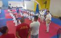 Ξεκίνησε το 10ο INTERNATIONAL SUMMER CAMP TAE-KWON-DO ASTAKOS 2024, στο ΔΑΚ ΑΣΤΑΚΟΥ. (Φωτογραφίες-Βίντεο) - Φωτογραφία 2