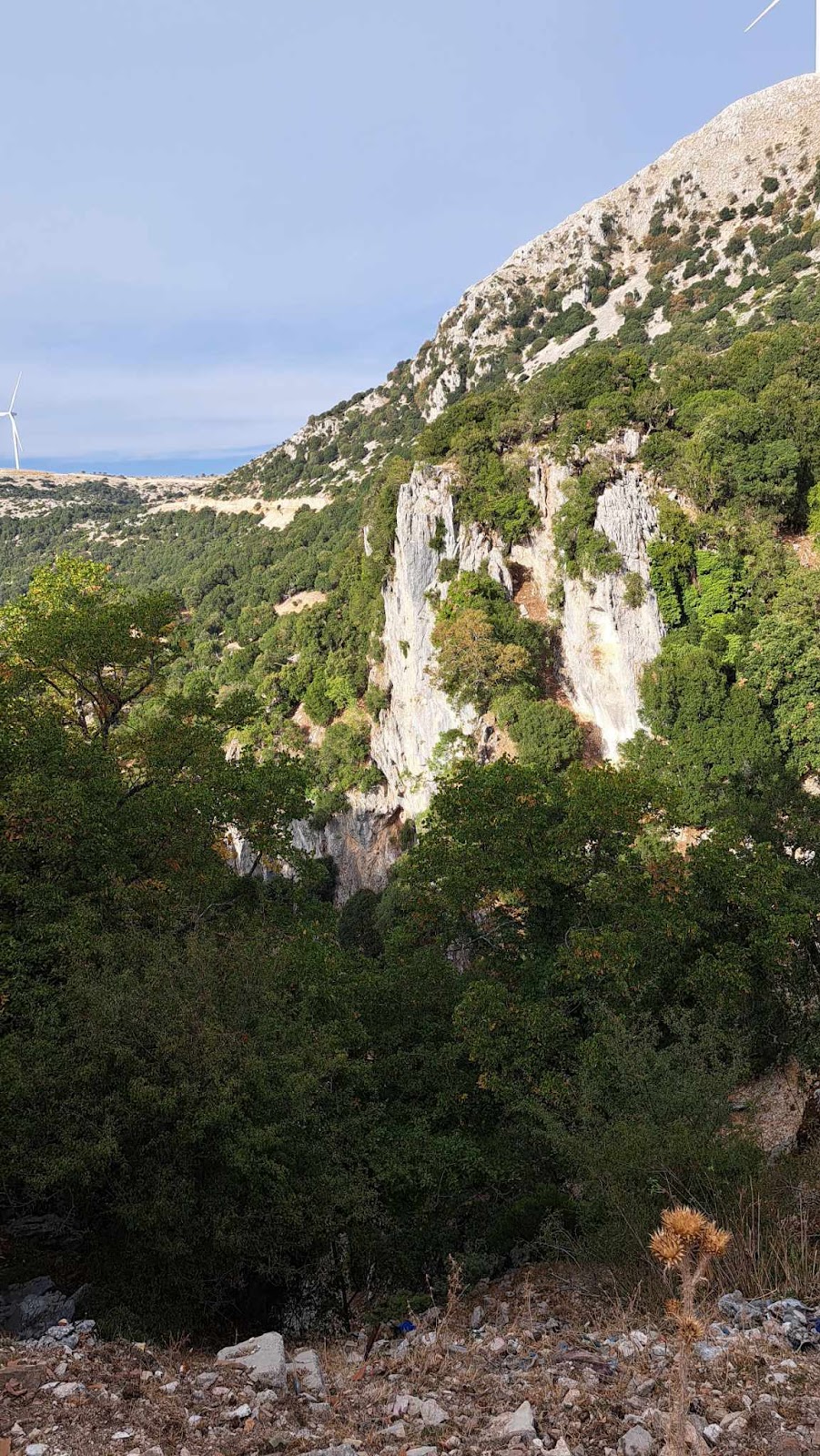 Μεγας  Εσπερινός στην Ιερά Μονή Ρόμβου Βάτου -Παναγία η Ρομβιάτισσα- στα Ακαρνανικά (φώτο  Στελλα Λιαπη) - Φωτογραφία 49