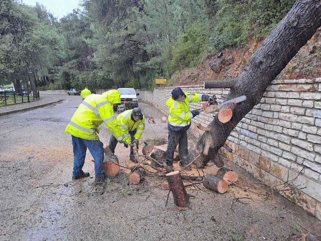 Δήμος Ξηρομέρου: Αποκατάσταση κυκλοφορίας δρόμου από πτώση δέντρου. - Φωτογραφία 2