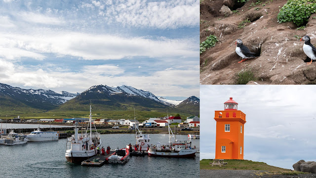 Grimsey. Το νησί στα όρια της Αρκτικής με τα χιλιάδες θαλασσοπούλια - Φωτογραφία 2