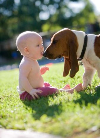 Κατοικίδια: Μόνο έξω ή και μέσα στο σπίτι; - Φωτογραφία 6