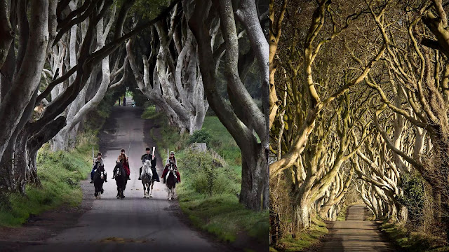 Dark Hedges. Ένα από τα πιο πολυφωτογραφημένα φυσικά τοπία - Φωτογραφία 4