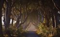 Dark Hedges. Ένα από τα πιο πολυφωτογραφημένα φυσικά τοπία - Φωτογραφία 2