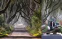 Dark Hedges. Ένα από τα πιο πολυφωτογραφημένα φυσικά τοπία - Φωτογραφία 3