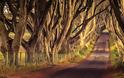 Dark Hedges. Ένα από τα πιο πολυφωτογραφημένα φυσικά τοπία - Φωτογραφία 6