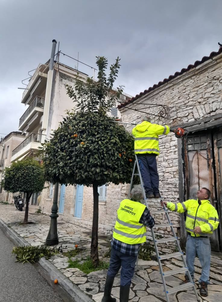 Αρετη Γριτσιπη : πολλαπλες παρεμβάσεις που αφορούν στη βελτίωση της καθημερινότητα στον Αστακο - Φωτογραφία 27