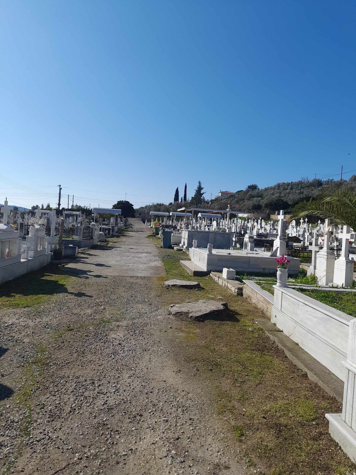 Αρετη Γριτσιπη : πολλαπλες παρεμβάσεις που αφορούν στη βελτίωση της καθημερινότητα στον Αστακο - Φωτογραφία 4