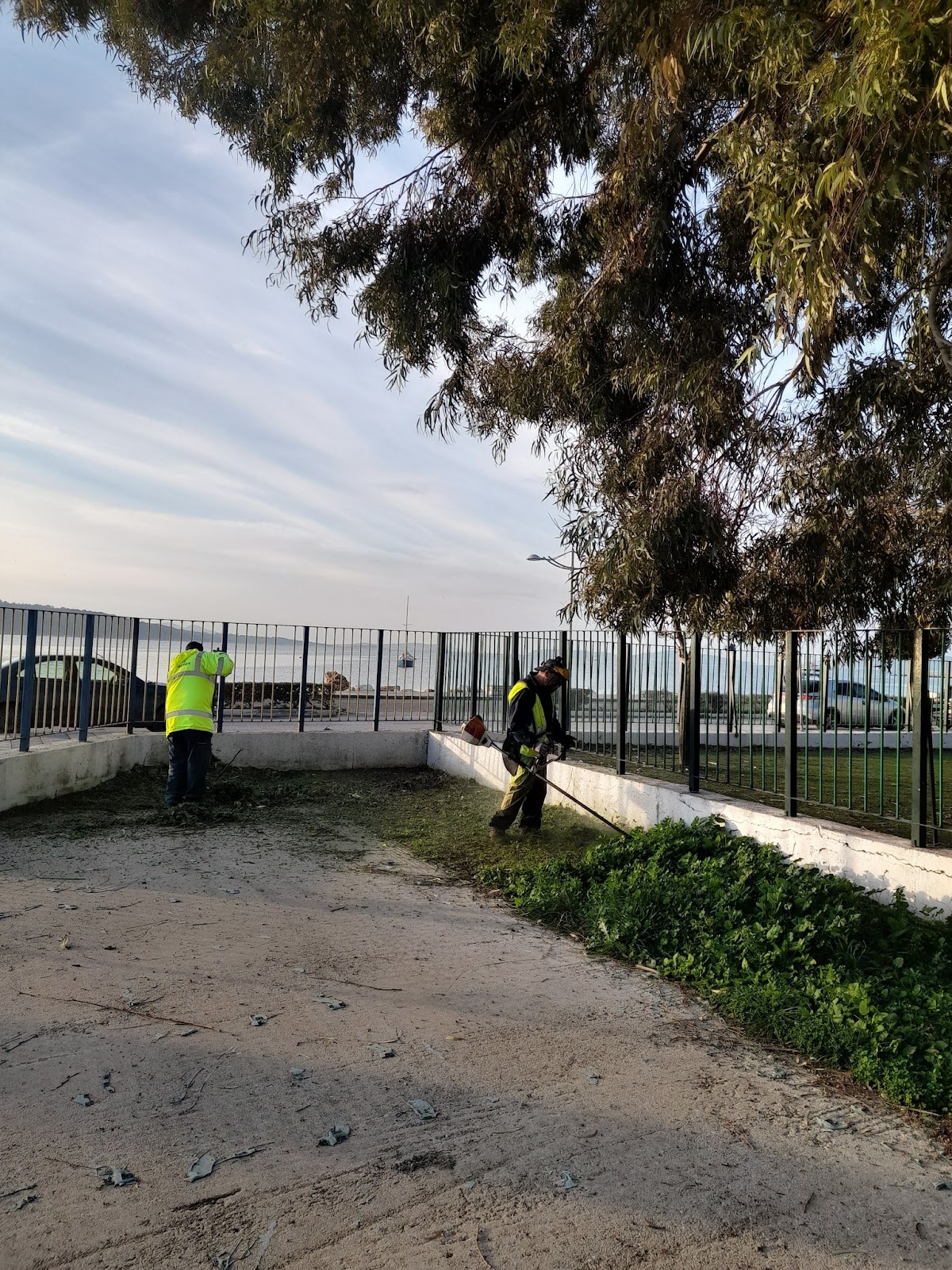 Αρετη Γριτσιπη : πολλαπλες παρεμβάσεις που αφορούν στη βελτίωση της καθημερινότητα στον Αστακο - Φωτογραφία 8