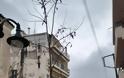 Αρετη Γριτσιπη : πολλαπλες παρεμβάσεις που αφορούν στη βελτίωση της καθημερινότητα στον Αστακο - Φωτογραφία 7