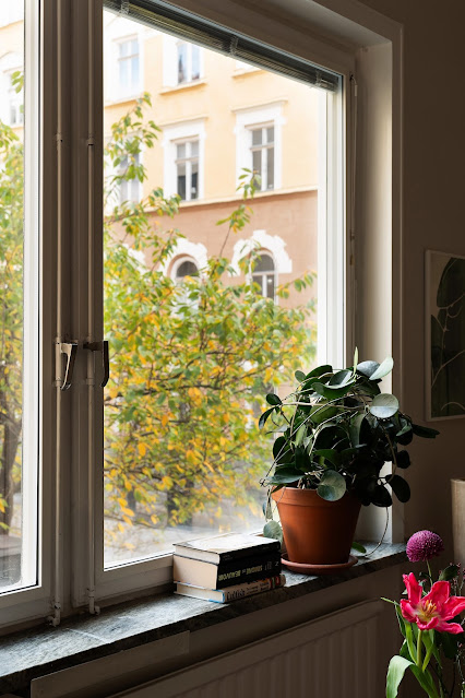 Ρουστίκ και vintage σε ζεστές γήινες αποχρώσεις σε 56τμ - Φωτογραφία 4