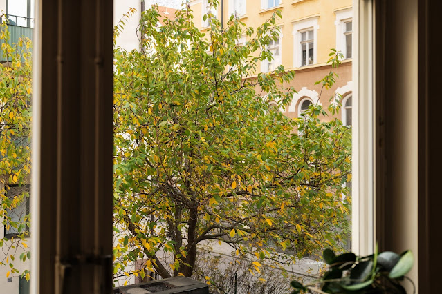 Ρουστίκ και vintage σε ζεστές γήινες αποχρώσεις σε 56τμ - Φωτογραφία 5