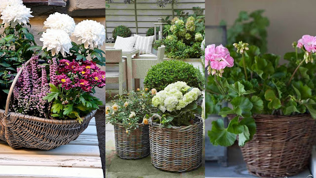 Φυτά σε ψάθινα καλάθια. Φυσική διακόσμηση για εξωτερικούς χώρους - Φωτογραφία 13