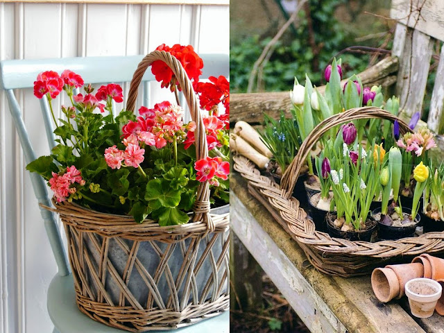 Φυτά σε ψάθινα καλάθια. Φυσική διακόσμηση για εξωτερικούς χώρους - Φωτογραφία 2