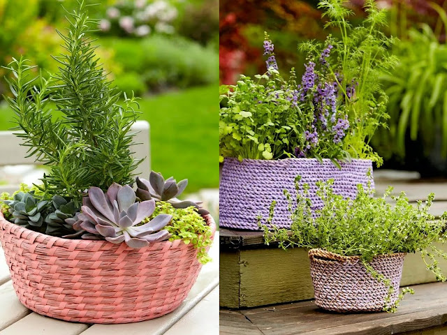 Φυτά σε ψάθινα καλάθια. Φυσική διακόσμηση για εξωτερικούς χώρους - Φωτογραφία 4