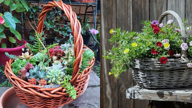Φυτά σε ψάθινα καλάθια. Φυσική διακόσμηση για εξωτερικούς χώρους - Φωτογραφία 5