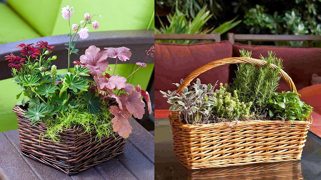 Φυτά σε ψάθινα καλάθια. Φυσική διακόσμηση για εξωτερικούς χώρους - Φωτογραφία 7