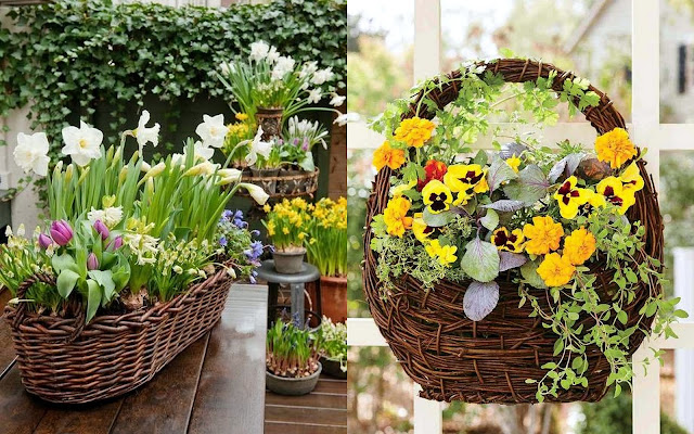 Φυτά σε ψάθινα καλάθια. Φυσική διακόσμηση για εξωτερικούς χώρους - Φωτογραφία 8