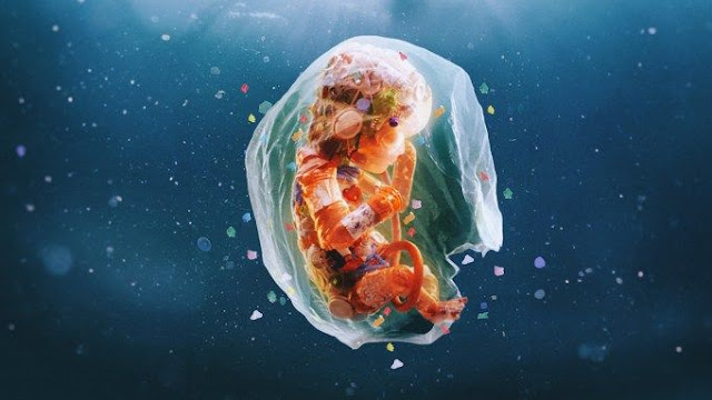 Μικροπλαστικά. Από τα σκουπίδια μας στο πιάτο μας - Φωτογραφία 5