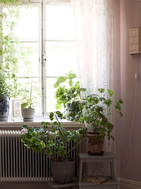 Διαμέρισμα 55τμ διαμορφωμένο σαν vintage κατοικία στην εξοχή - Φωτογραφία 14