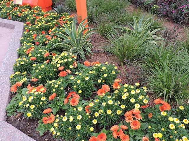 25+ Ανοιξιάτικα παρτέρια - Φωτογραφία 11