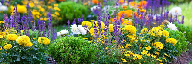 25+ Ανοιξιάτικα παρτέρια - Φωτογραφία 2