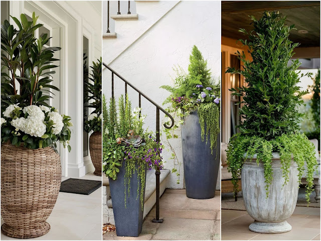 Διαμορφώσεις εξωτερικού χώρου με ψηλές γλάστρες - Φωτογραφία 12