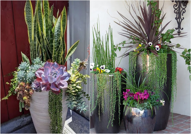 Διαμορφώσεις εξωτερικού χώρου με ψηλές γλάστρες - Φωτογραφία 13