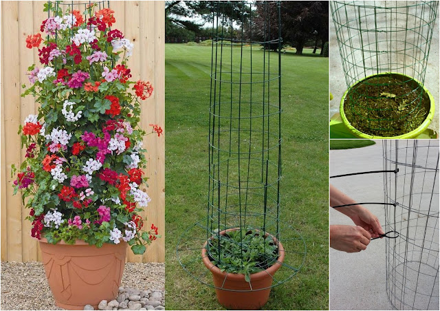 Διαμορφώσεις εξωτερικού χώρου με ψηλές γλάστρες - Φωτογραφία 15