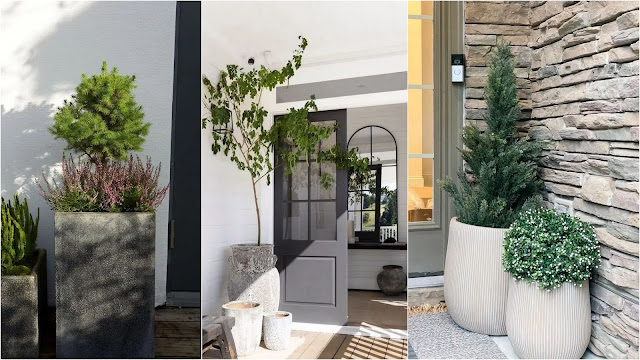 Διαμορφώσεις εξωτερικού χώρου με ψηλές γλάστρες - Φωτογραφία 2