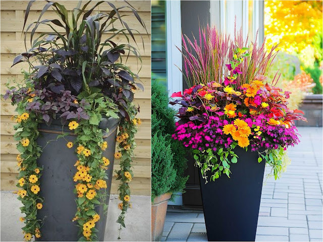 Διαμορφώσεις εξωτερικού χώρου με ψηλές γλάστρες - Φωτογραφία 3