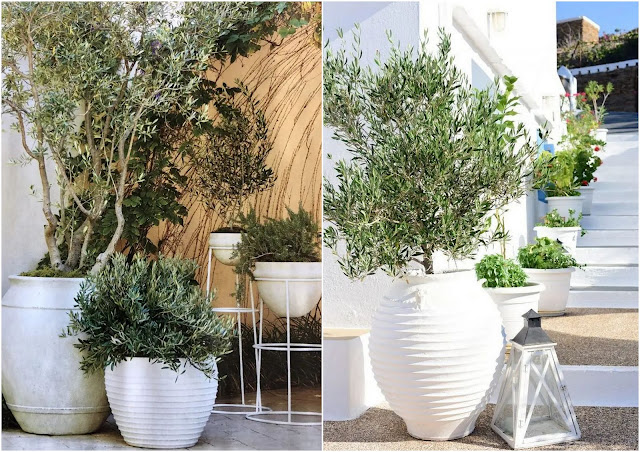 Διαμορφώσεις εξωτερικού χώρου με ψηλές γλάστρες - Φωτογραφία 5