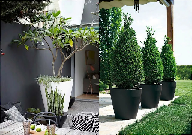 Διαμορφώσεις εξωτερικού χώρου με ψηλές γλάστρες - Φωτογραφία 9