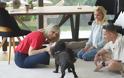 Pet Stories: Στο 1ο επεισόδιο, ο Λευτέρης Πετρούνιας και η Βασιλική Μιλλούση