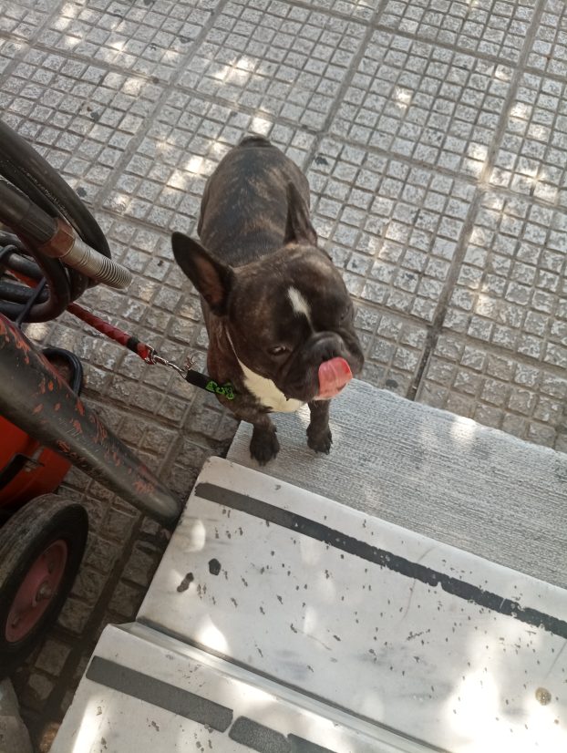 Πειραιάς: Αμνήμων ηλικιωμένος αναζητεί την οικογένειά του - Φωτογραφία 2