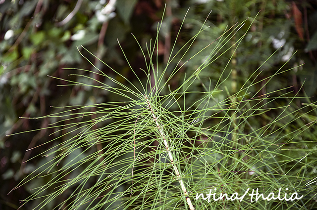 η συνάντησή μου με ένα ψιλόλιγνο παλληκάρι – το πολυκόμπι - Φωτογραφία 2