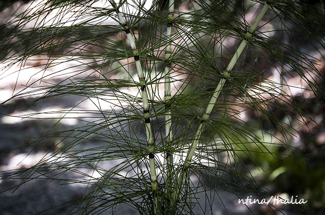 η συνάντησή μου με ένα ψιλόλιγνο παλληκάρι – το πολυκόμπι - Φωτογραφία 3